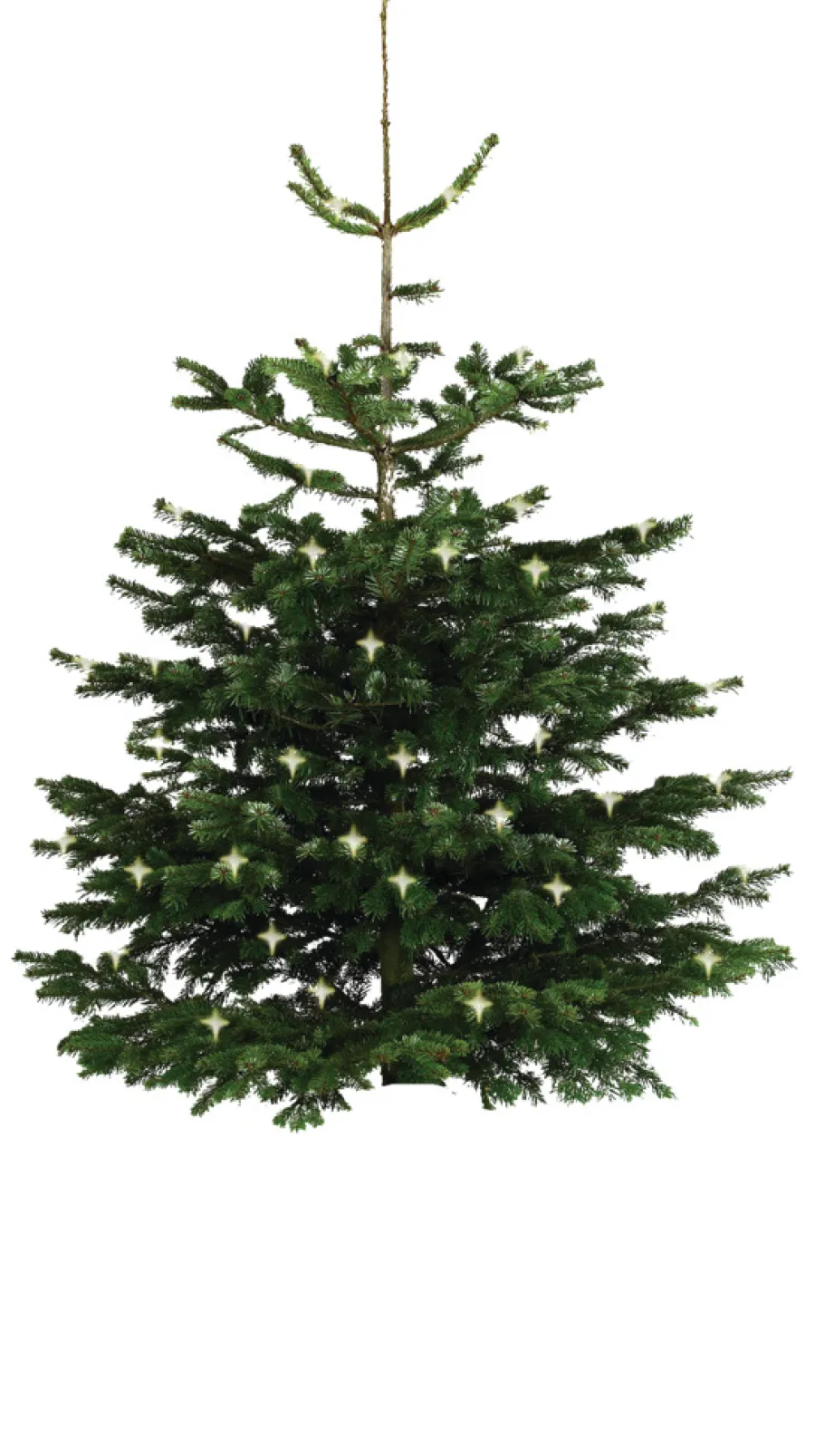 Scan-Pot Krukker|Planteborde & Højbede*Whiskytønde Ø64 cm